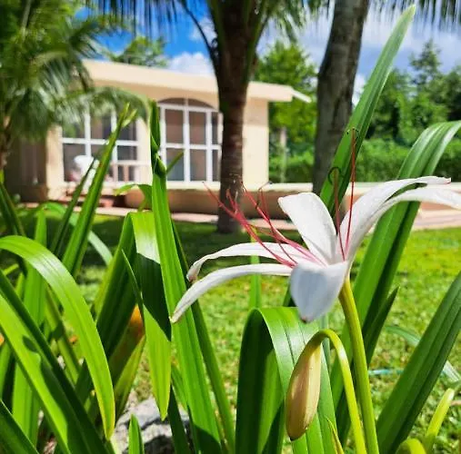 Casita Del Arco El Cedral Cozumel